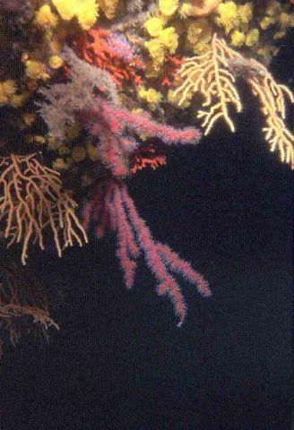 p03.jpg