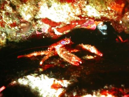 p04.jpg