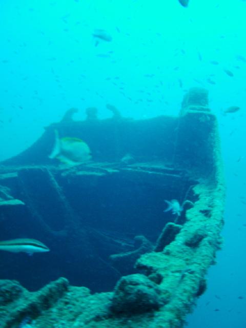 DSCF2024.JPG