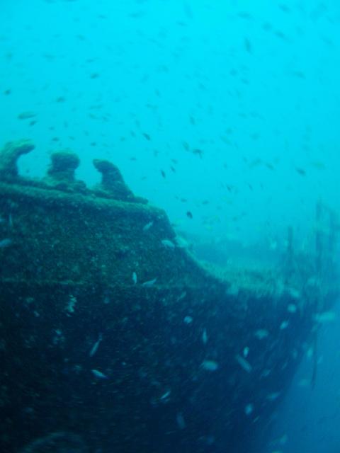 DSCF2026.JPG