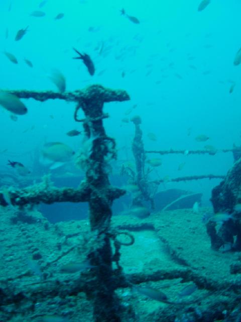 DSCF2036.JPG