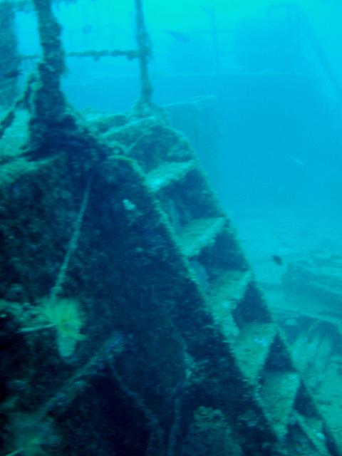 DSCF2039.JPG
