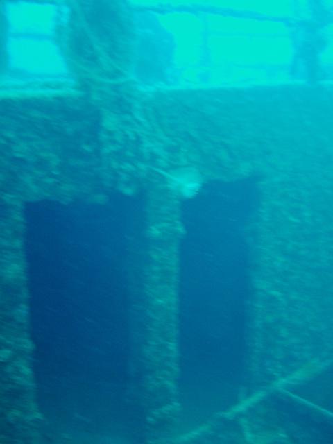 DSCF2044.JPG