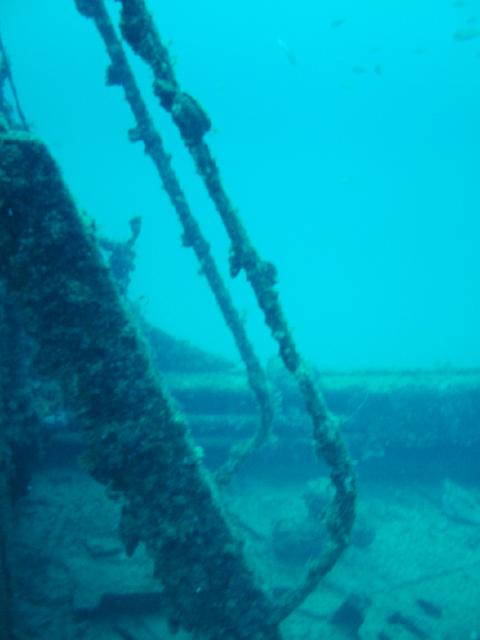 DSCF2046.JPG