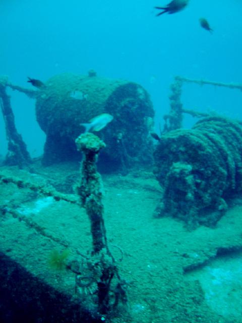 DSCF2066.JPG