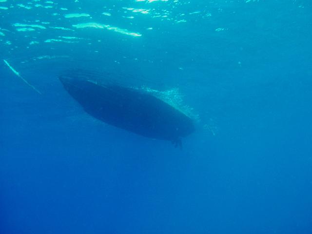 DSCF2085.JPG