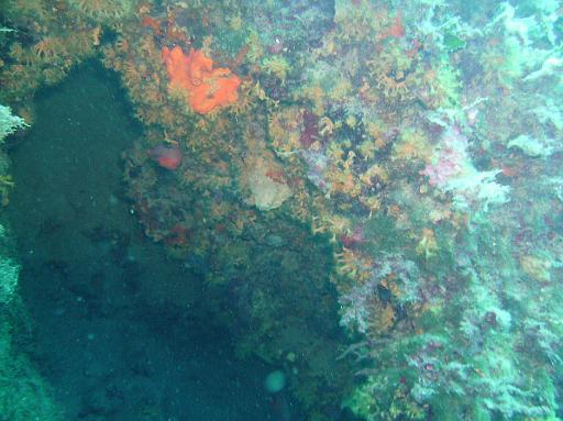 PICT0030.JPG