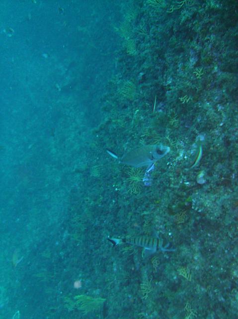 PICT0007.JPG