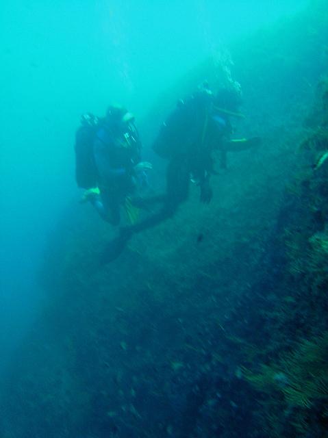 PICT0008.JPG