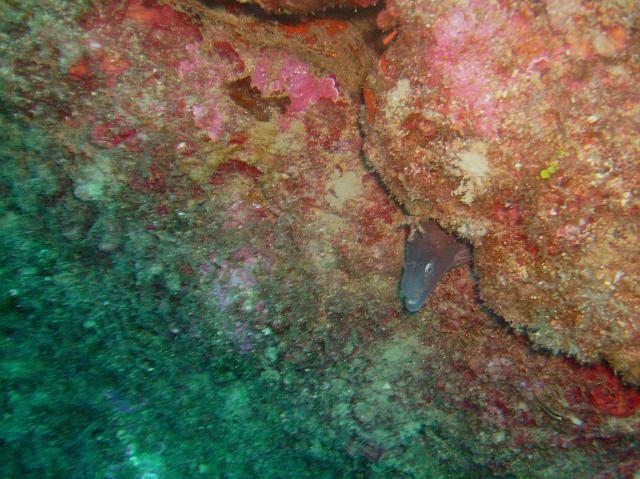 PICT0192.JPG