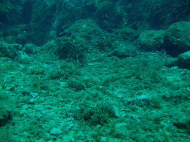 PICT0194.JPG